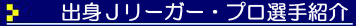 �o�gJ���[�K�[�Љ�