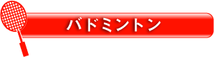 バドミントン